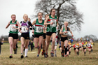 Junior womens 2018 Northern Cross Country Champs., Harewood House, Leeds. Photo: David T. Hewitson/Sports for All Pics